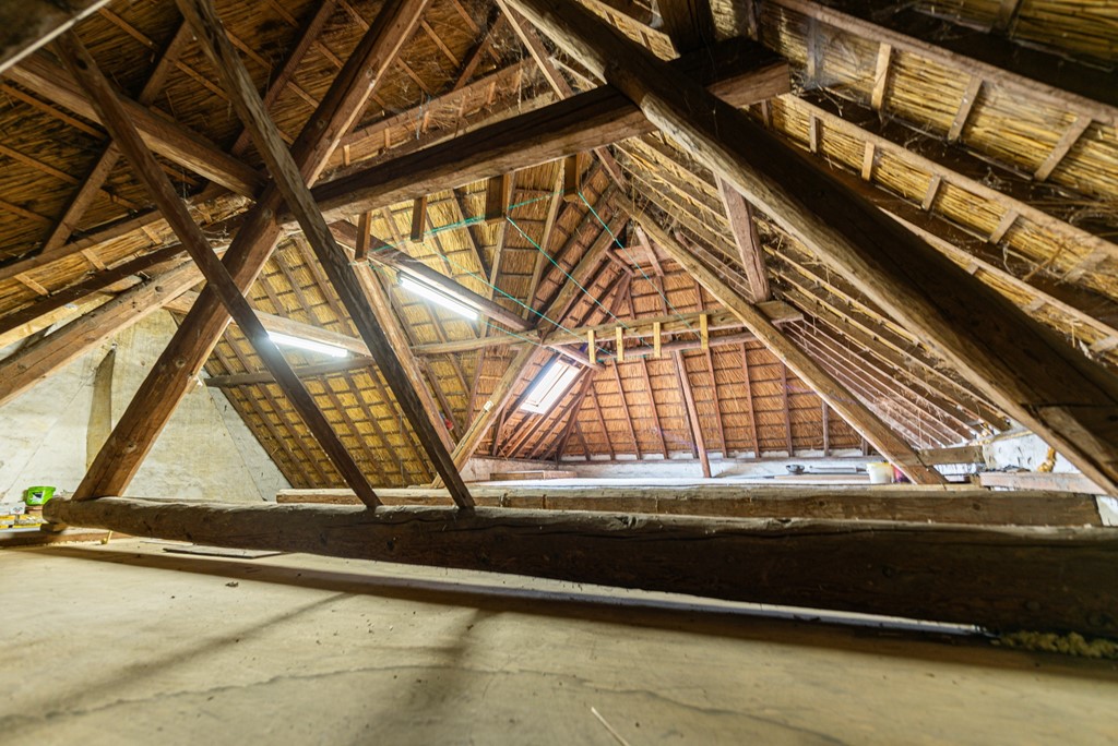 Hillsestraat 2 Babyloniënbroek (47).jpg